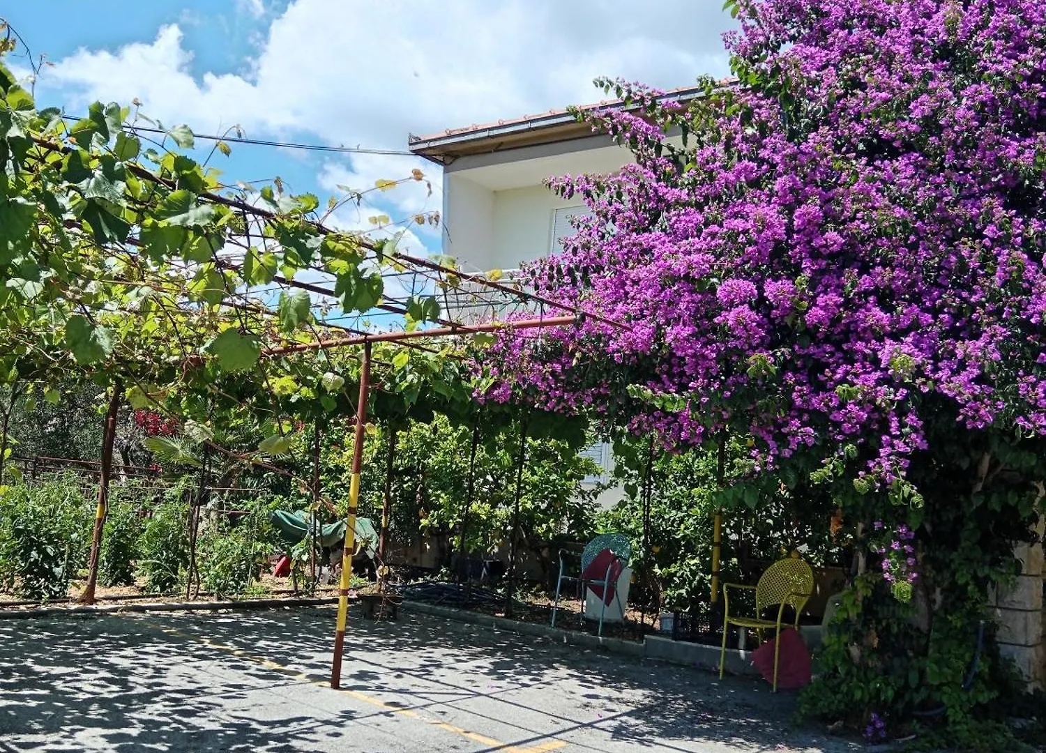 Apartments Silva Trogir 0*,  Chorvatsko